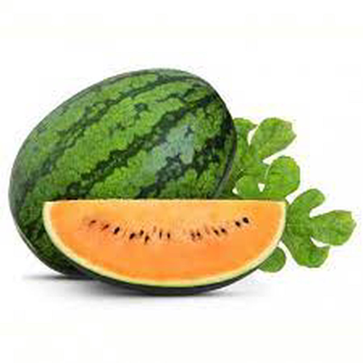 Tendersweet Orange Watermelon Fruit Seeds for Planting Heirloom, Non-GMO, Juicy Garden Seeds