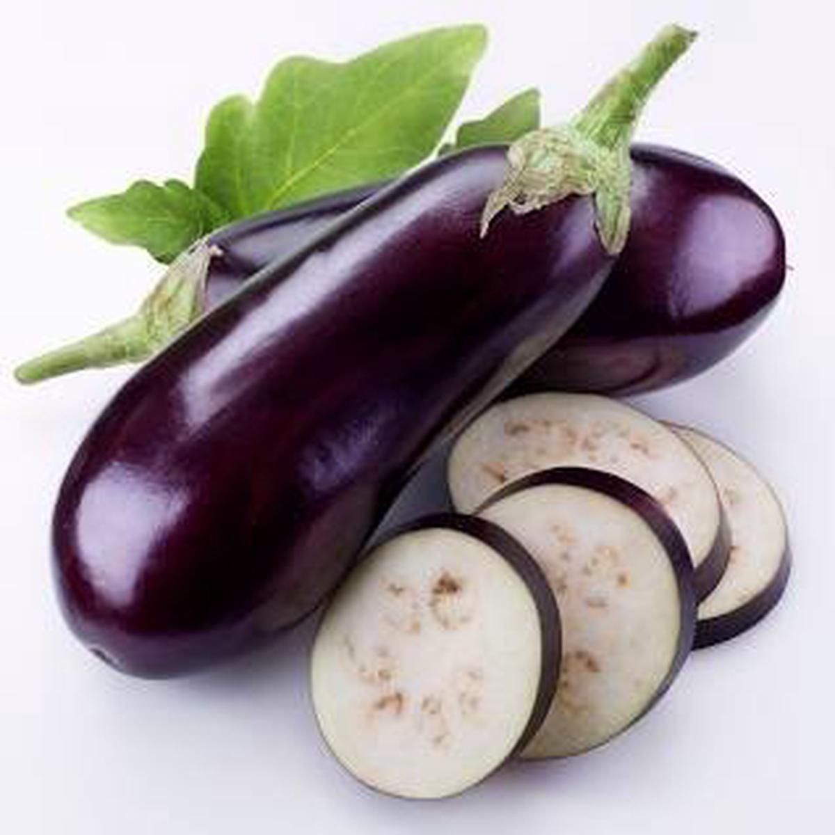 Eggplant Zora Seeds for Planting Organic Heirloom Non-GMO High Germination Vegetable Seeds for Healthy Gardening