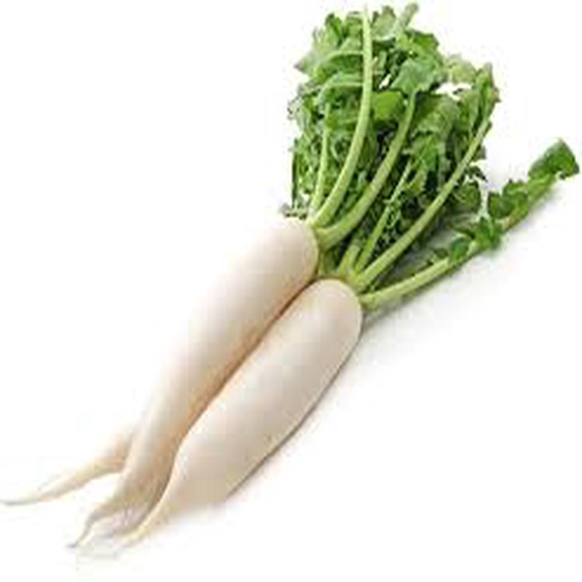 White Radish Seeds for Planting Heirloom, Non-GMO, High Germination Organic Garden Seeds