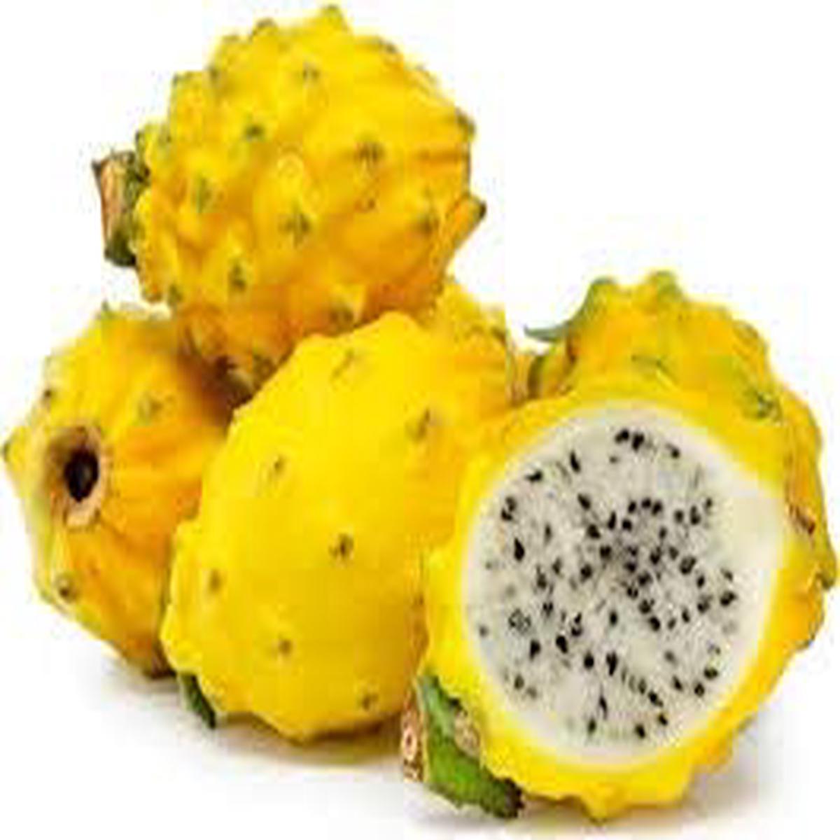 Yellow Pitaya Fruit seeds Heirloom, Non-GMO seeds for Planting in Bright Tropical Gardens