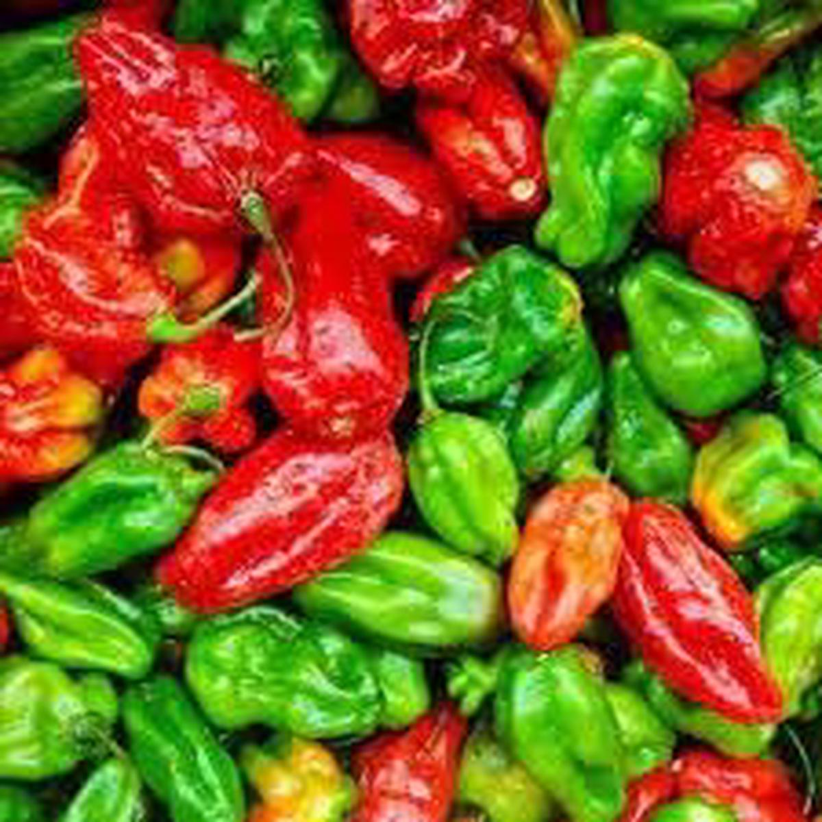 Aji Dulce Pepper Seeds for Planting Heirloom & Non-GMO, High Germination Organic Seeds for Sweet, Flavorful Gardens