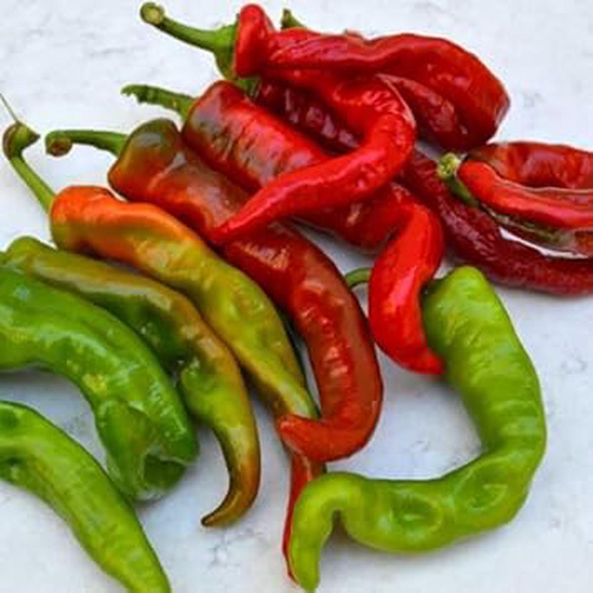 Anaheim Pepper Seeds for Planting Heirloom, Non-GMO, Organic Garden Seeds, High Germination, Mild Peppers for Stuffing