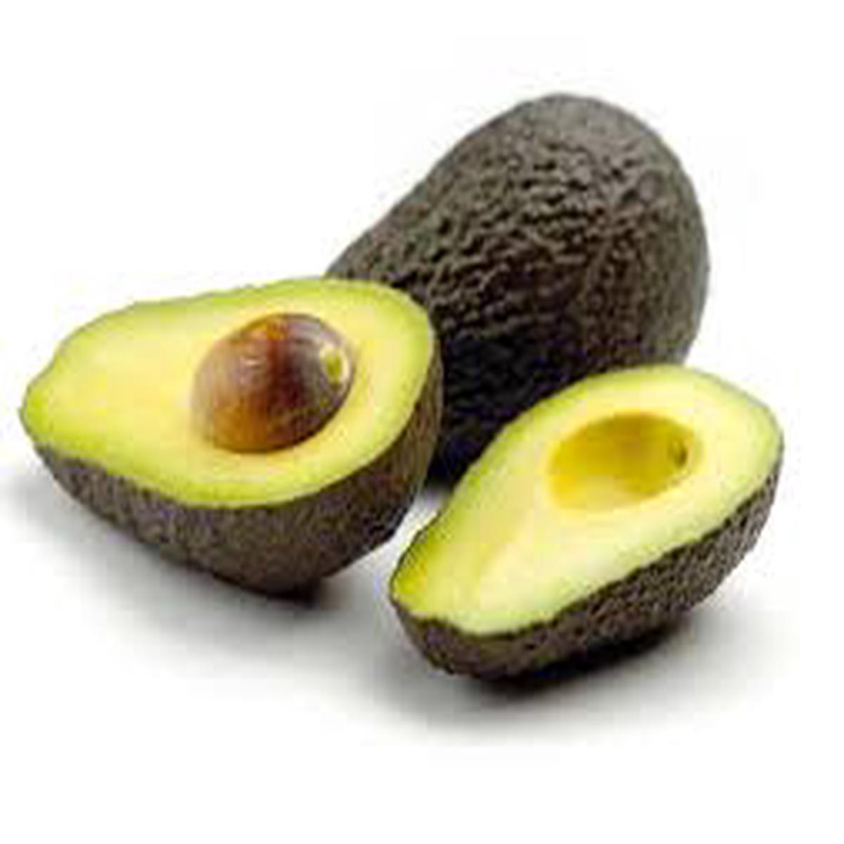 Brown Avocado fruit seeds for planting - Heirloom & Non-GMO garden seeds to grow fresh avocados at home