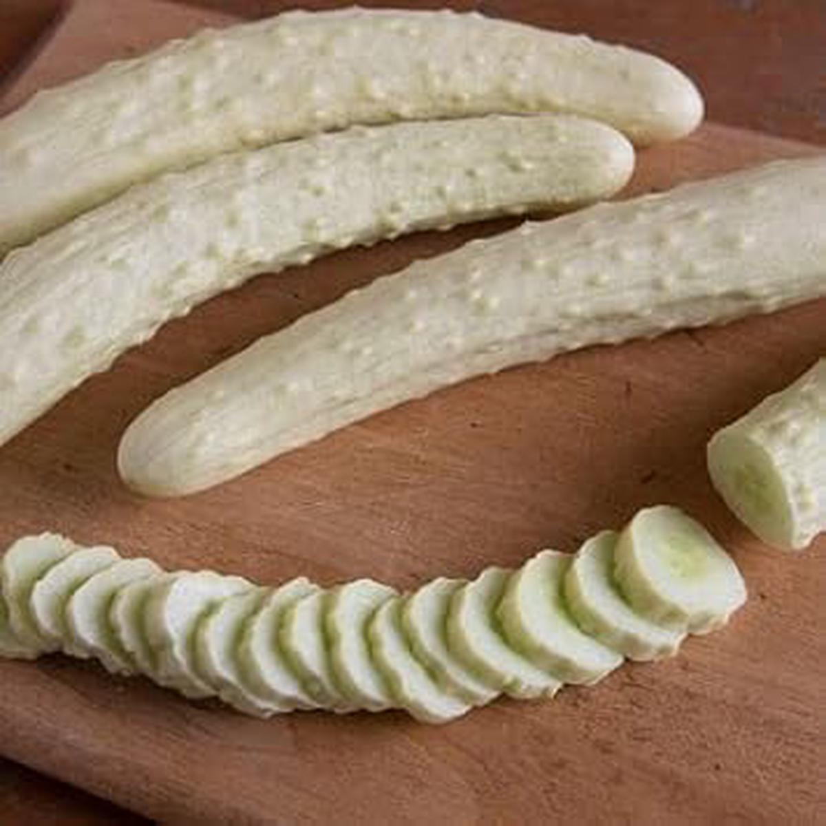 White Cucumber Vegetable Seeds for Planting Heirloom & Non-GMO Garden Seeds