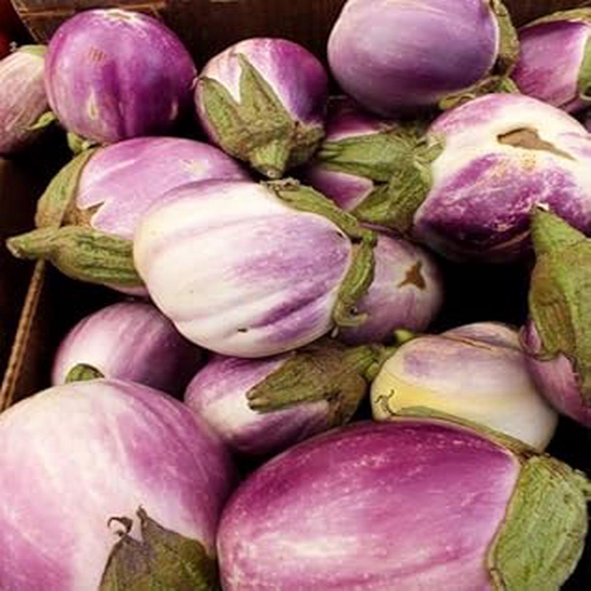 Lavender Eggplant Seeds for Planting Heirloom, Non-GMO, High Germination, Soft Color & Premium Taste