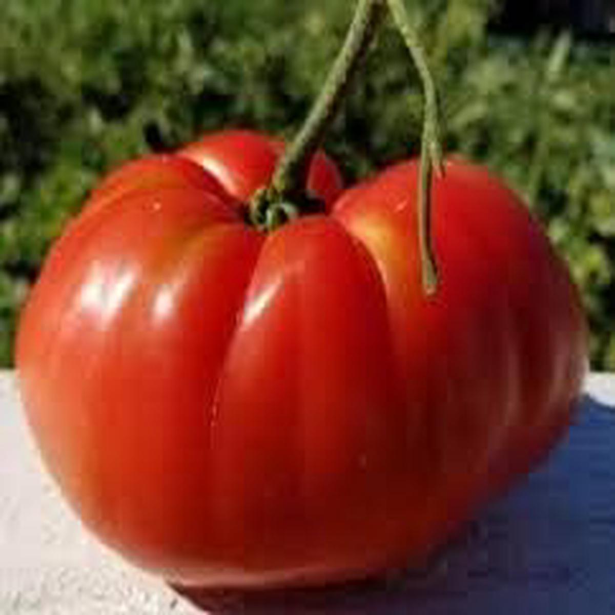 Big Huge Tomato Seeds for Planting Red - heirloom & non-GMO seeds, juicy and heavy harvests, 100 pcs