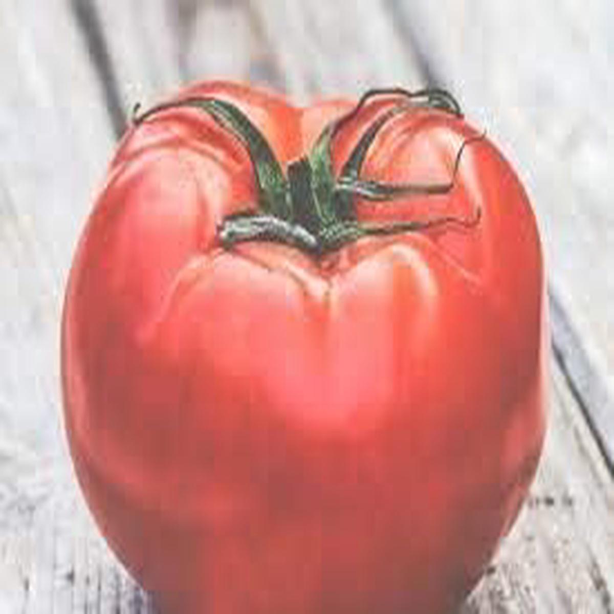 Big Tomato Seeds for Planting  Red Heirloom Non-GMO, High Germination Organic Garden Seeds for Flavorful Harvest
