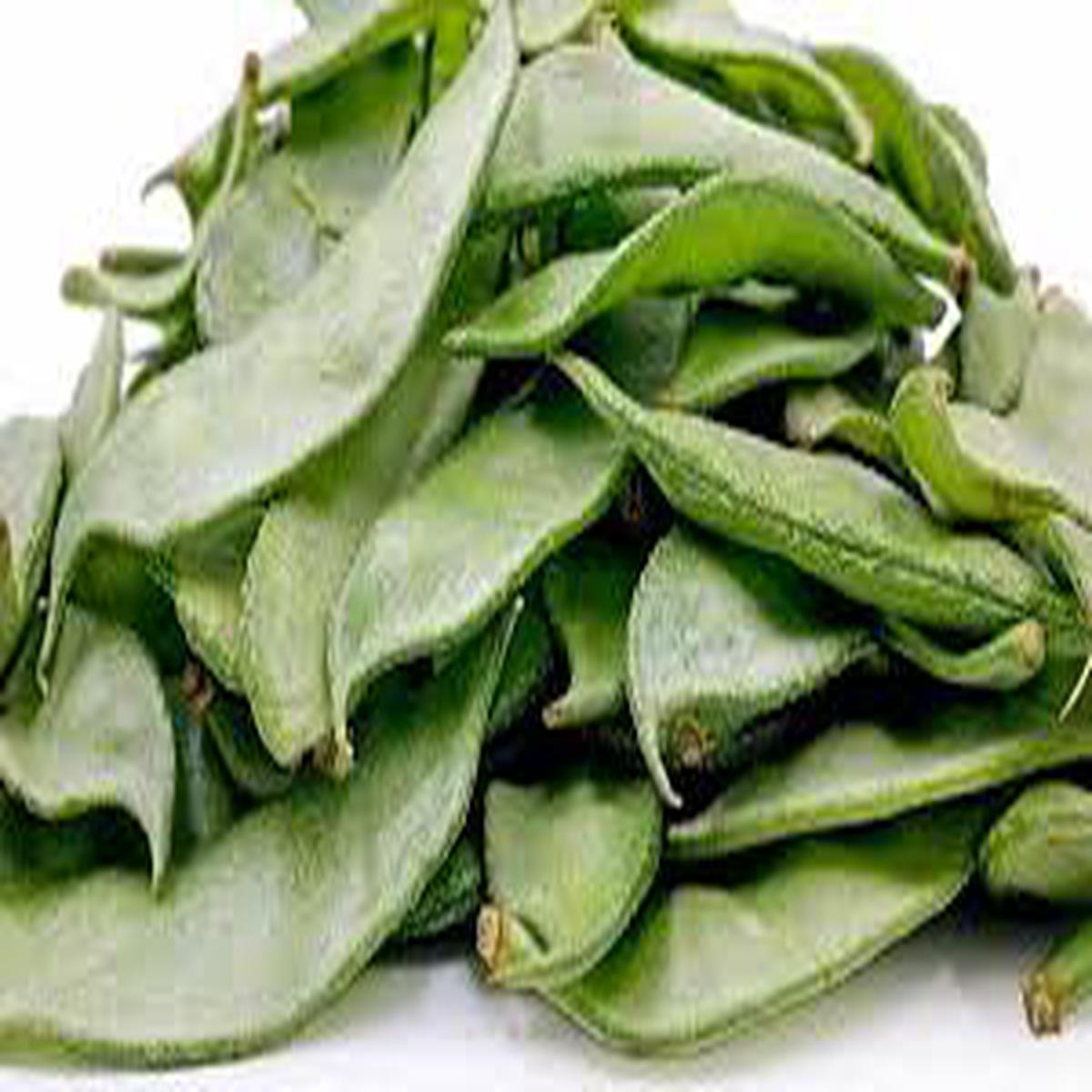 Broad Bean Seeds for Planting Heirloom, Non-GMO, Protein-Rich Organic Garden Seeds High Germination, Heavy Yield
