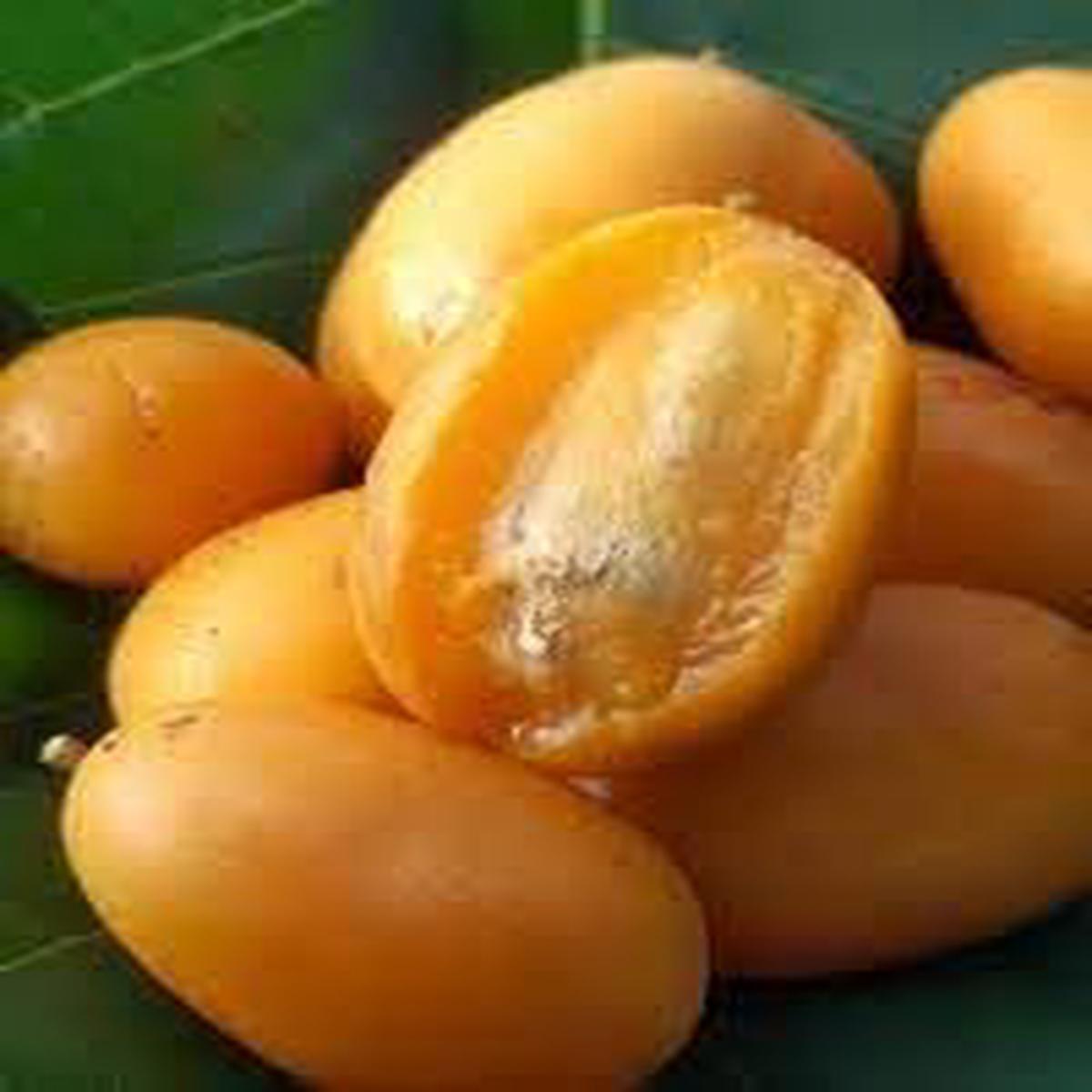 Yellow Spondias fruit seeds for planting  Heirloom & Non-GMO Garden seeds