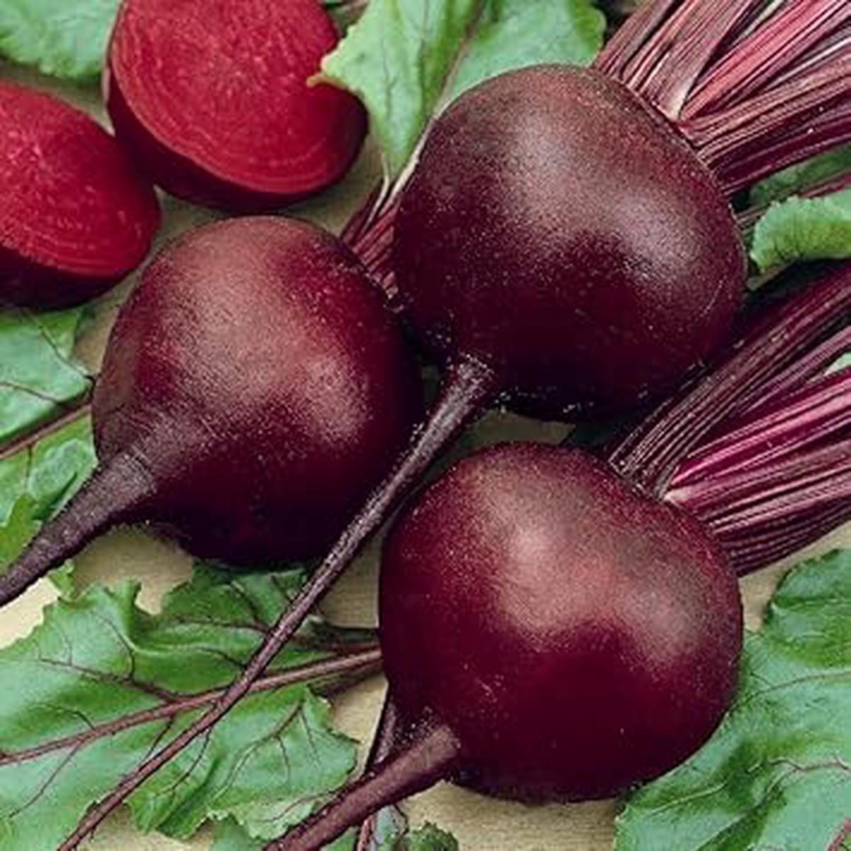 Beetroot Vegetable Seeds for Planting  Heirloom, Non-GMO, Organic Garden Seeds, High Germination, Sweet Root Vegetables