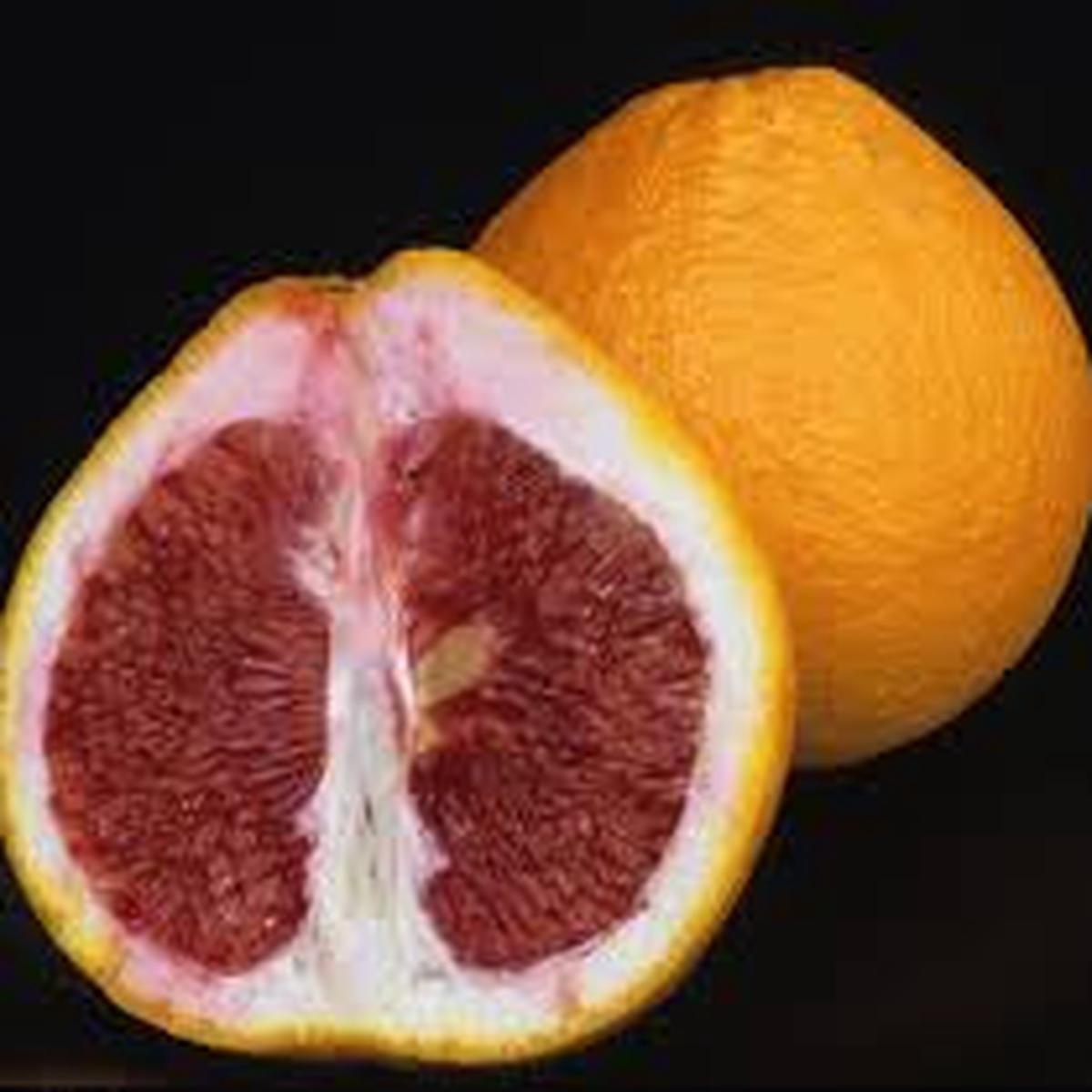 Valentine Pomelo fruit seeds for planting - Heirloom & Non-GMO Garden seeds