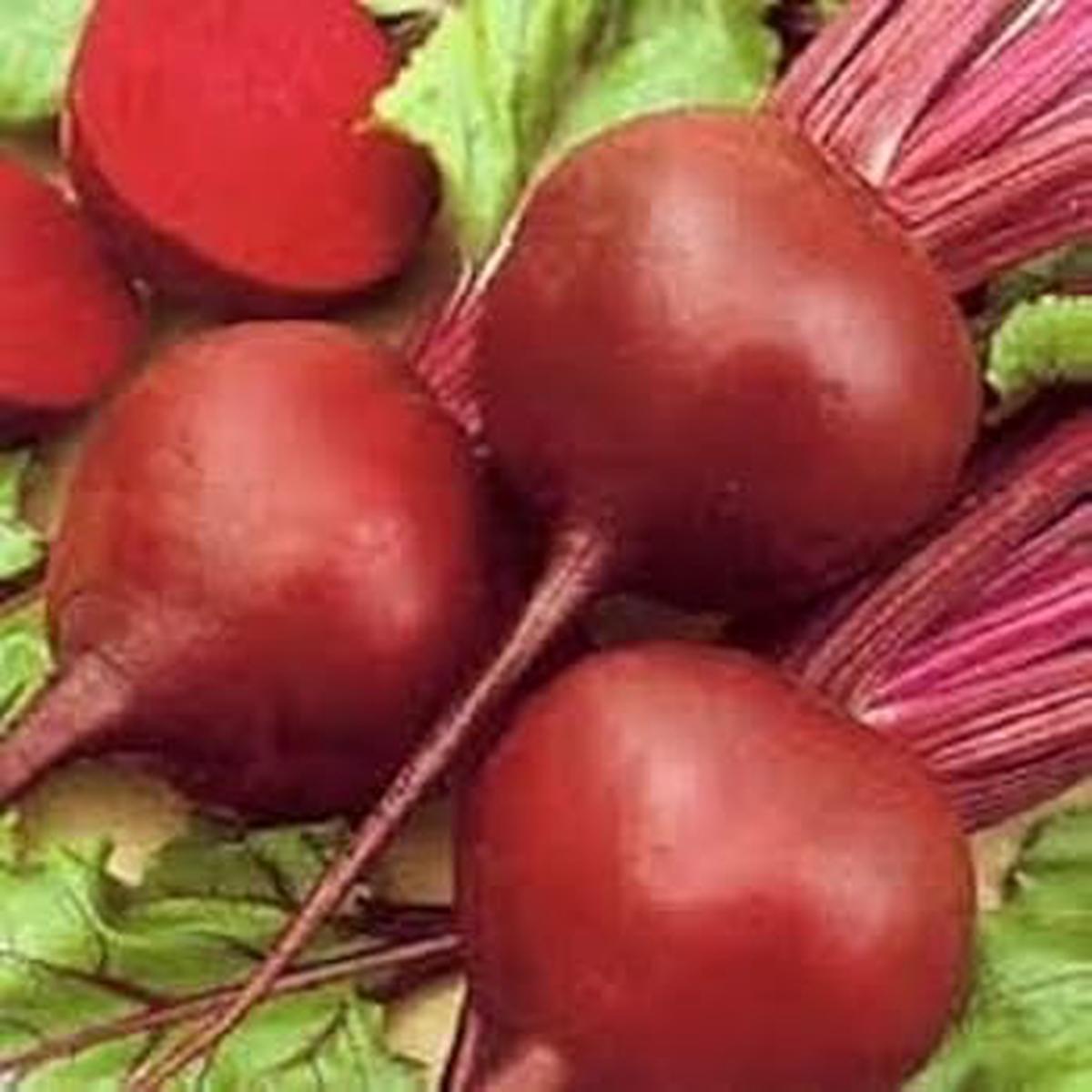 Beet Detroit Vegetable Seeds for Planting  Heirloom, Non-GMO, High Germination Organic Garden Seeds