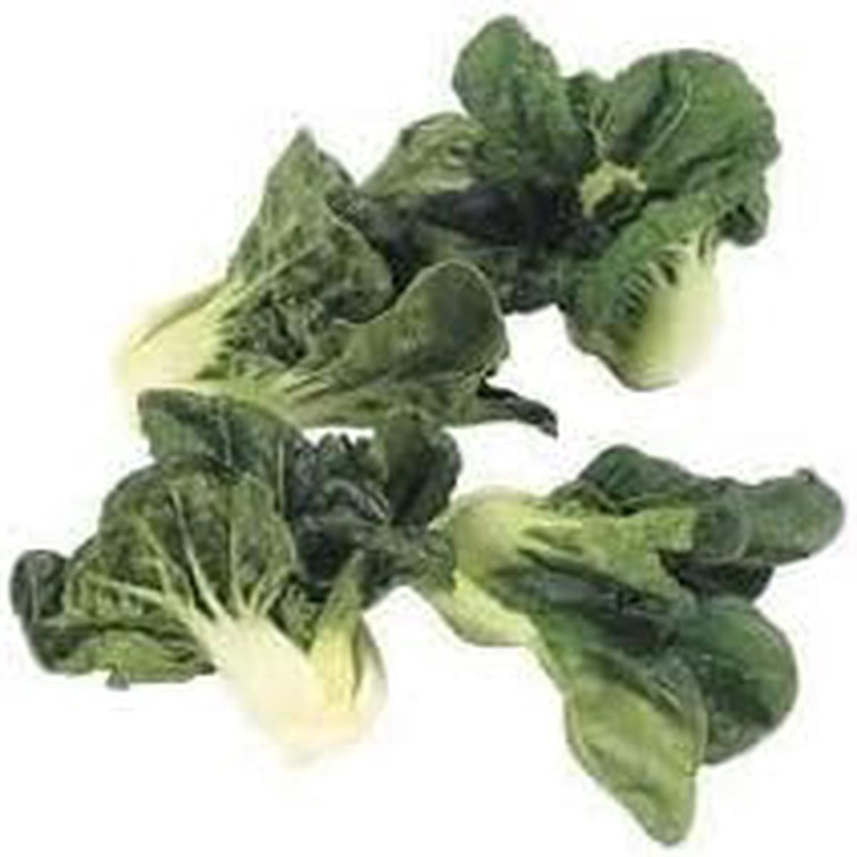 Army Green Choi Bok Choy Seeds for Planting  Heirloom, Non-GMO, High Germination, Leafy Greens for Garden Beds