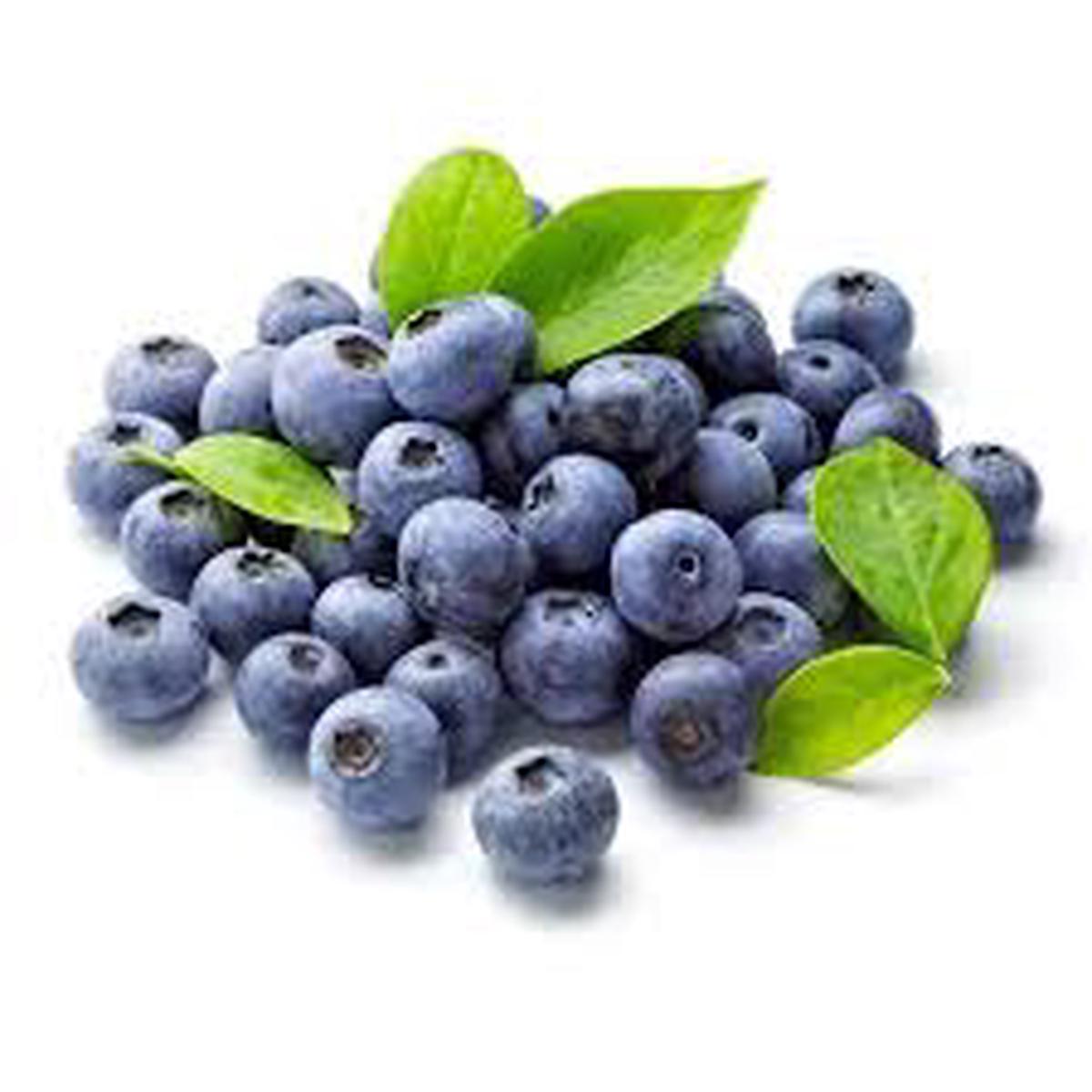 Blueberry Fruit Seeds for Planting Heirloom, Non-GMO, Organic Berry Seeds