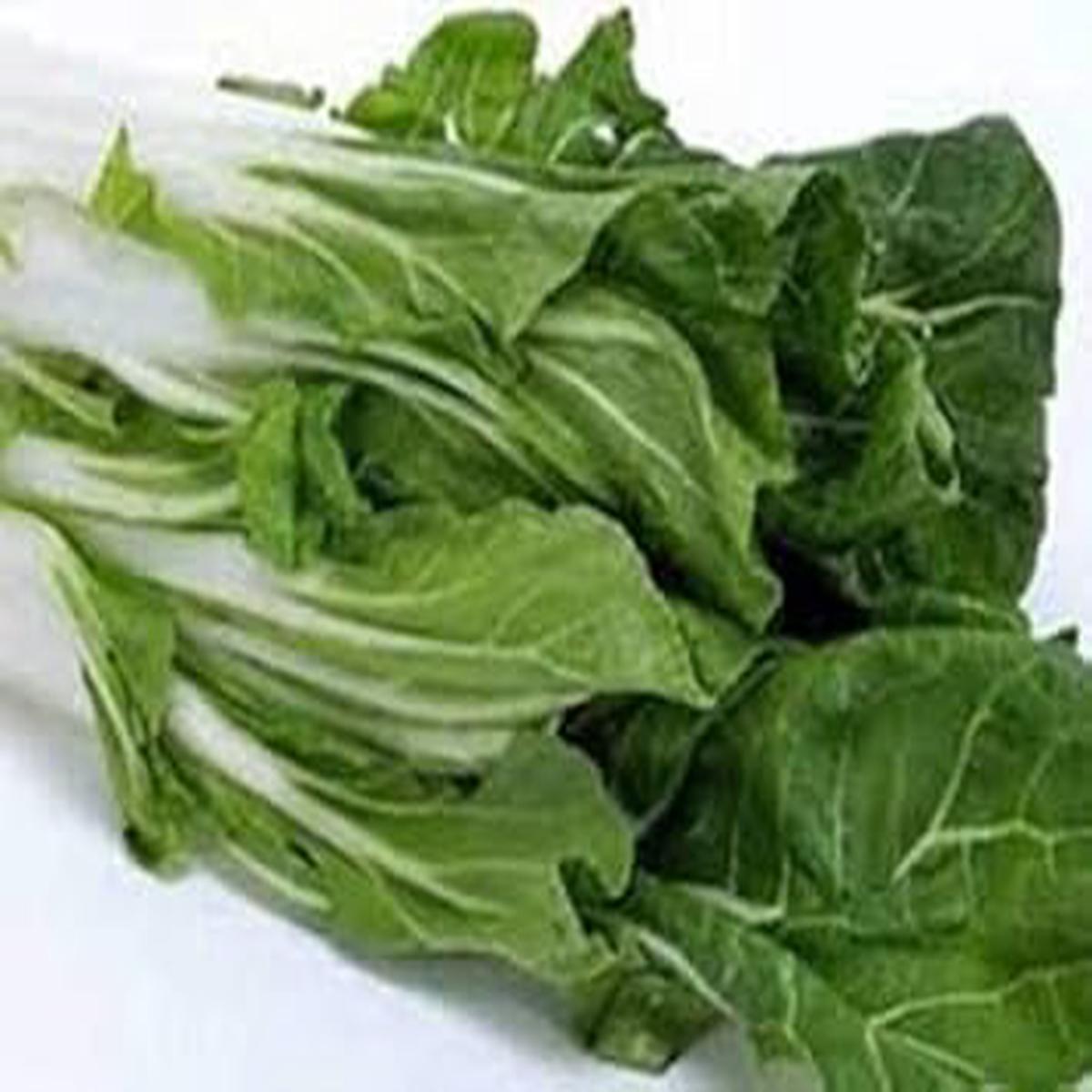 Green Chard Vegetable Seeds for Planting Heirloom & Non-GMO Garden Seeds