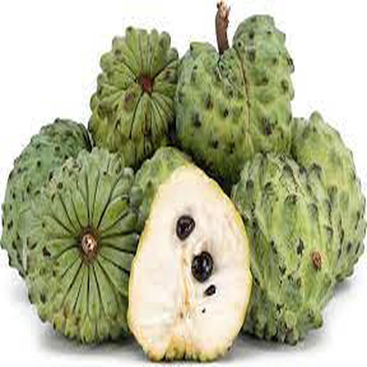 Sweet Sop Sugar Apple fruit seeds for planting - Heirloom & Non-GMO Garden seeds