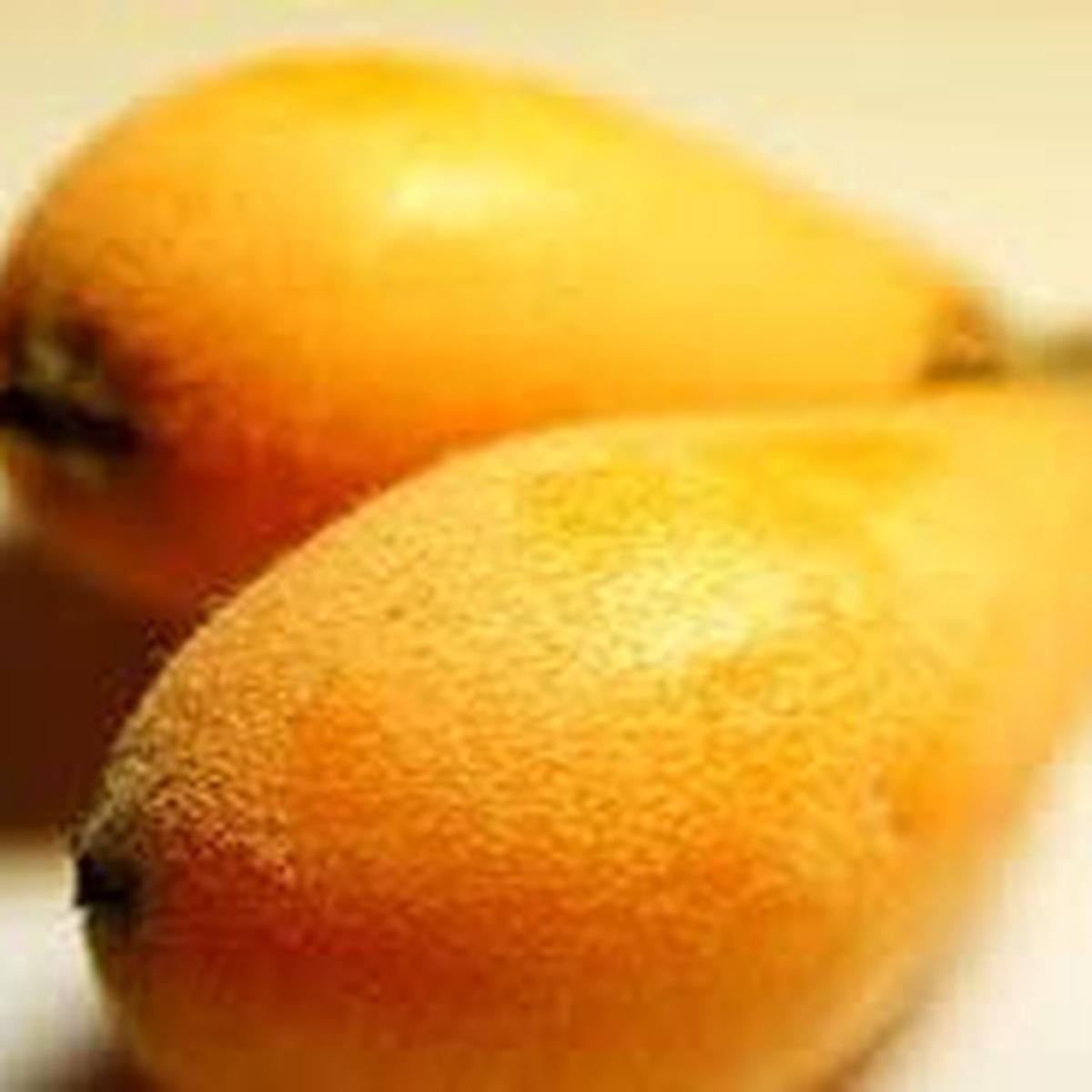 Tanaka Loquat fruit seeds for planting  Heirloom & Non-GMO garden seeds, rare hardy fruit tree variety