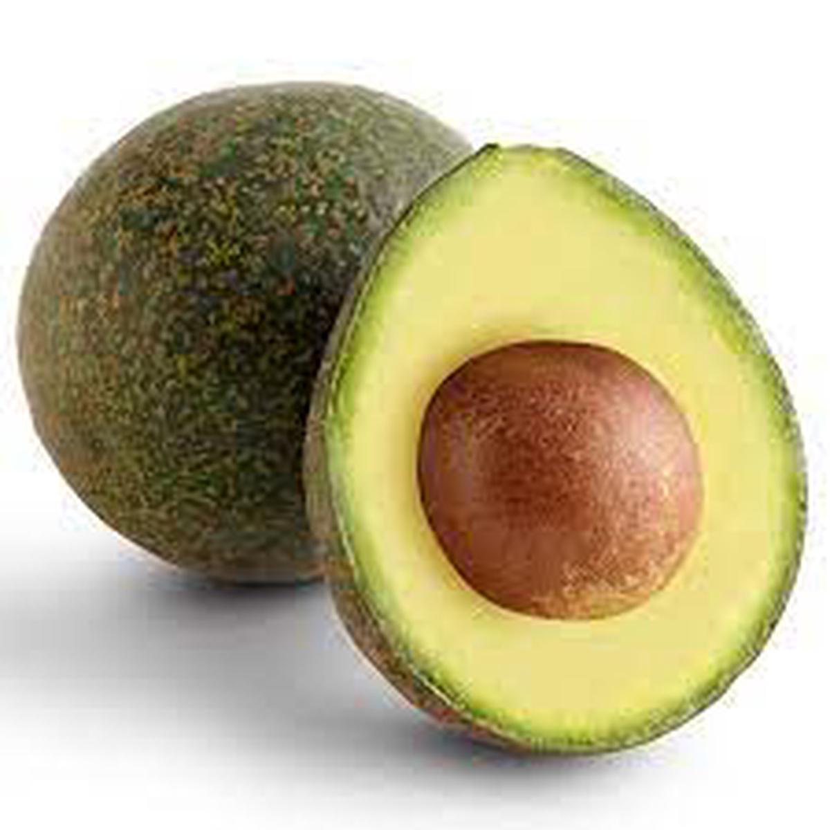 Reed Avocado fruit seeds for planting Heirloom & Non-GMO organic garden seeds