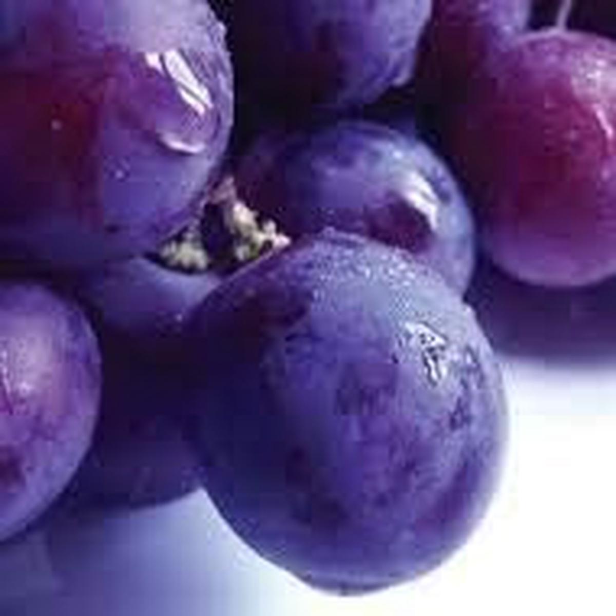 Violet Grapefruit fruit seeds for planting - Heirloom & Non-GMO Garden seeds