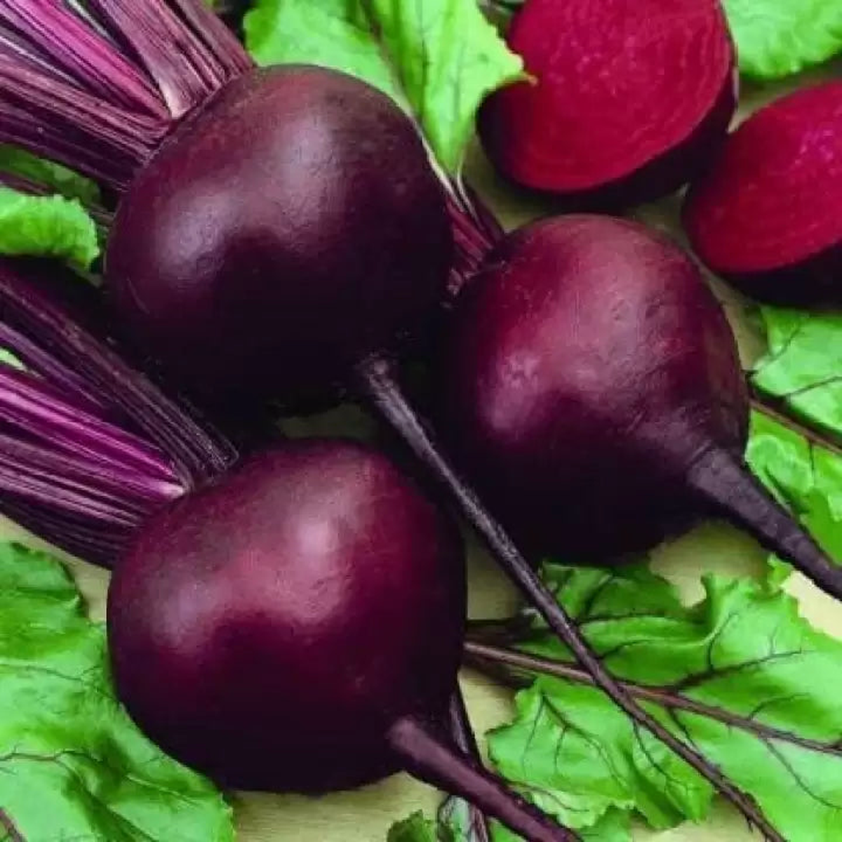 Maroon Red Beetroot Seeds for Planting Heirloom Non-GMO High Germination Organic Garden Seeds, High-Yield Root Vegetable