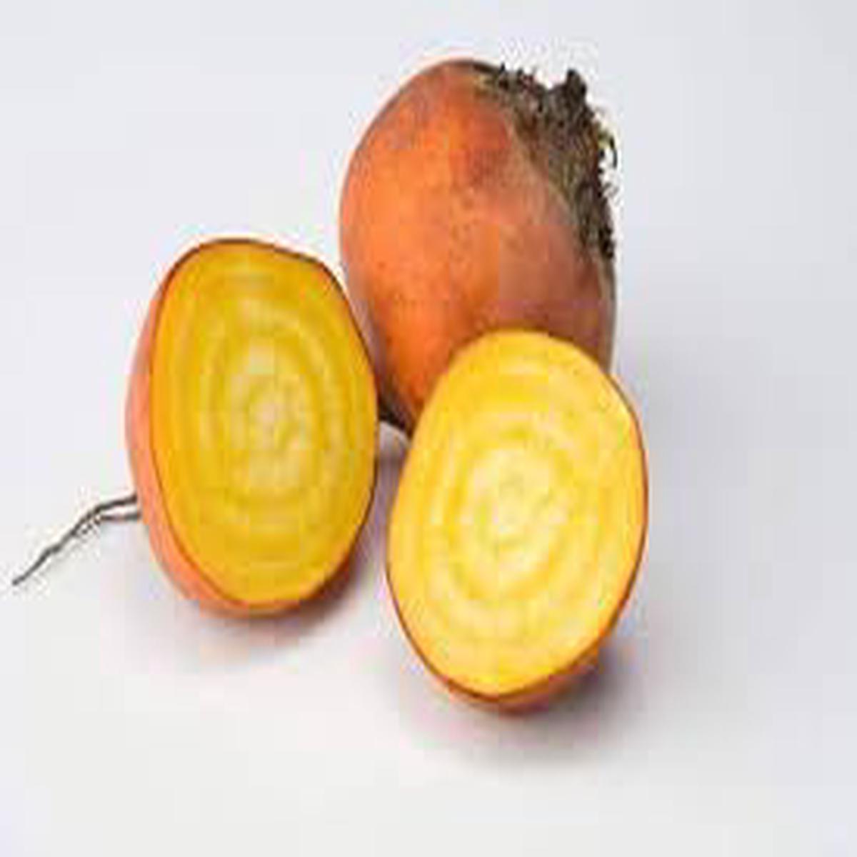 Beet Boldor Vegetable Seeds for Planting  Heirloom, Non-GMO, Organic Garden Seeds for Golden Beets
