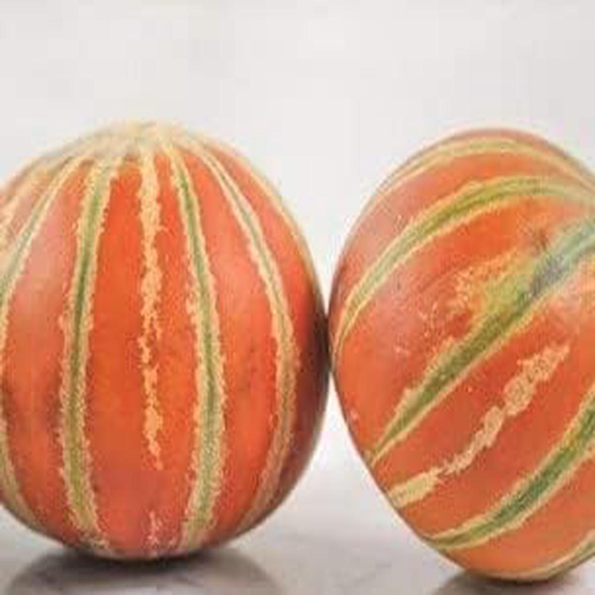 Red Green HAMI Melon Fruit Seeds Heirloom & Non-GMO Garden Seeds 100 pcs