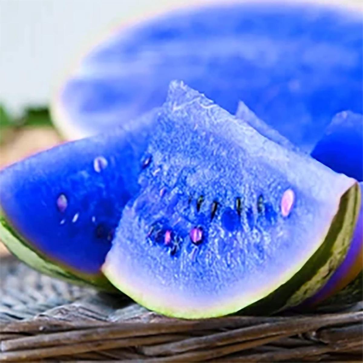 Blue Watermelon Fruit seeds Heirloom, Non-GMO Seeds for Planting Unique Garden Delights
