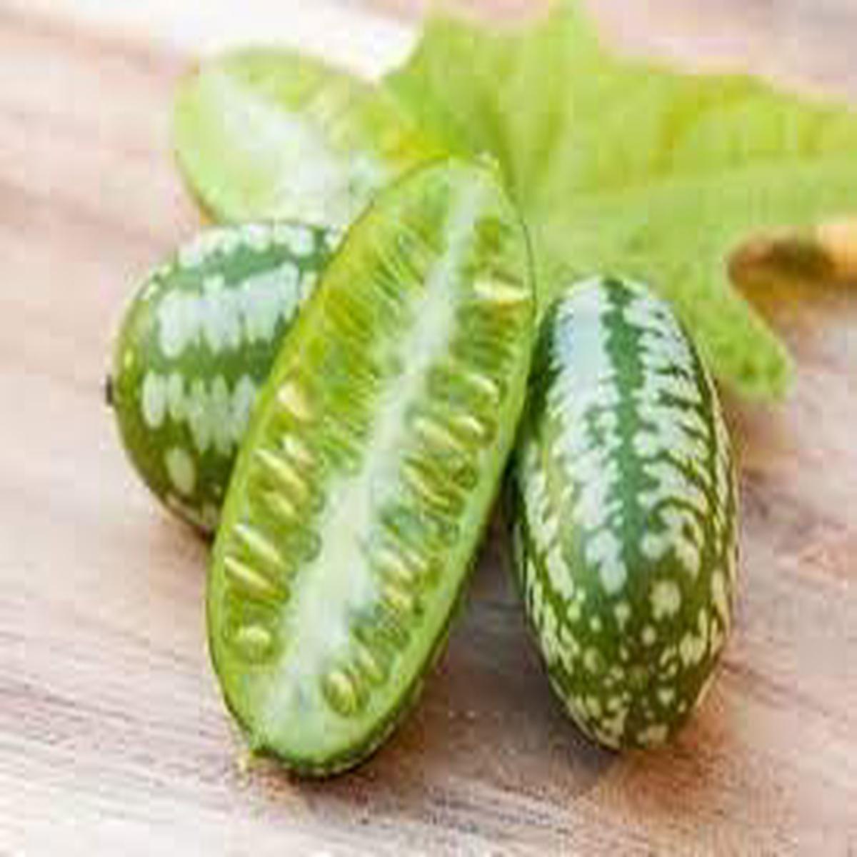 Cucamelon Vegetable Seeds for Planting Heirloom, Non-GMO, High Germination Organic Garden Seeds
