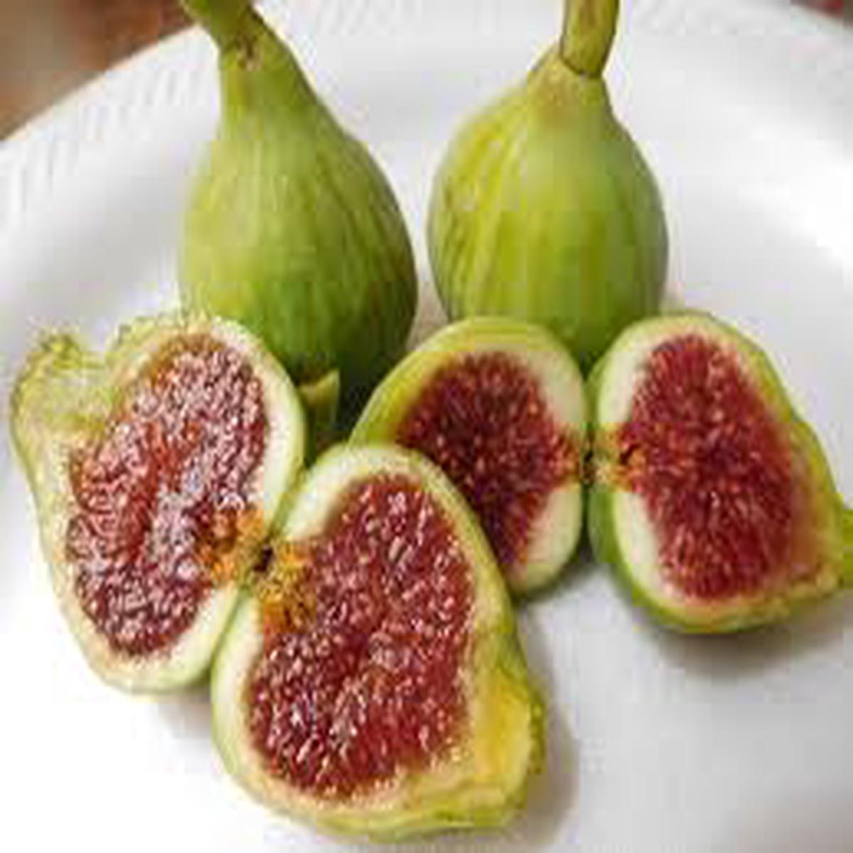 Vasilika Aspra Fruit seeds  Heirloom, Non-GMO Seeds for Planting Rare Greek Garden Fruit Trees