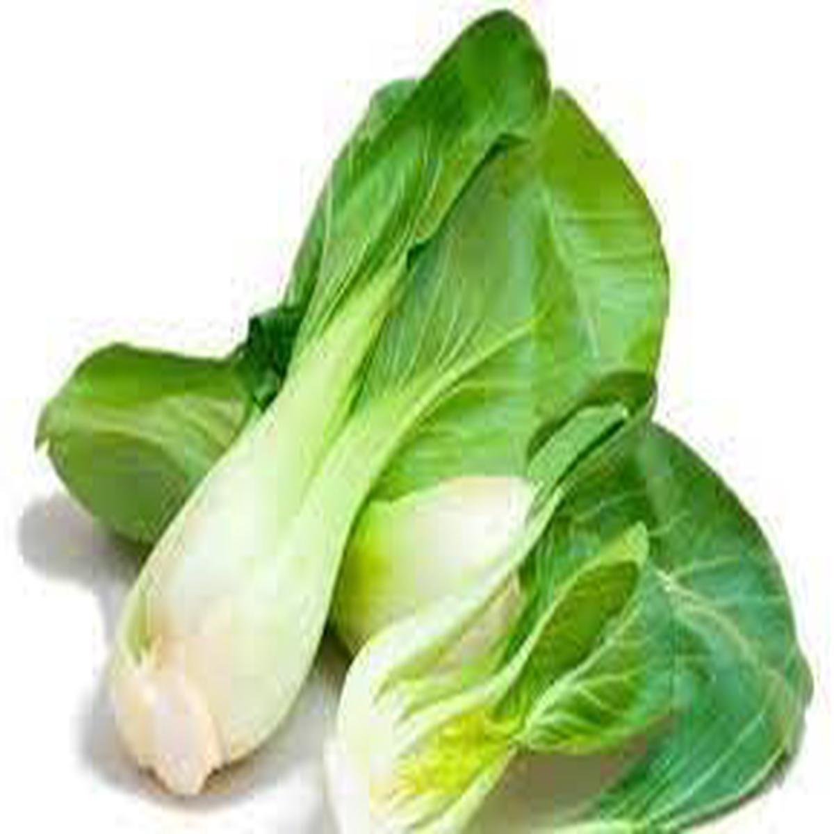 Bok Choy Vegetable Seeds for Planting  Heirloom & Non-GMO Garden Seeds