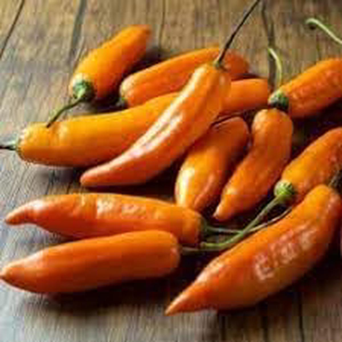 Amarillo Hot Pepper Seeds for Planting  Heirloom, Non-GMO, Bold Yellow Organic Garden Seeds with High Germination