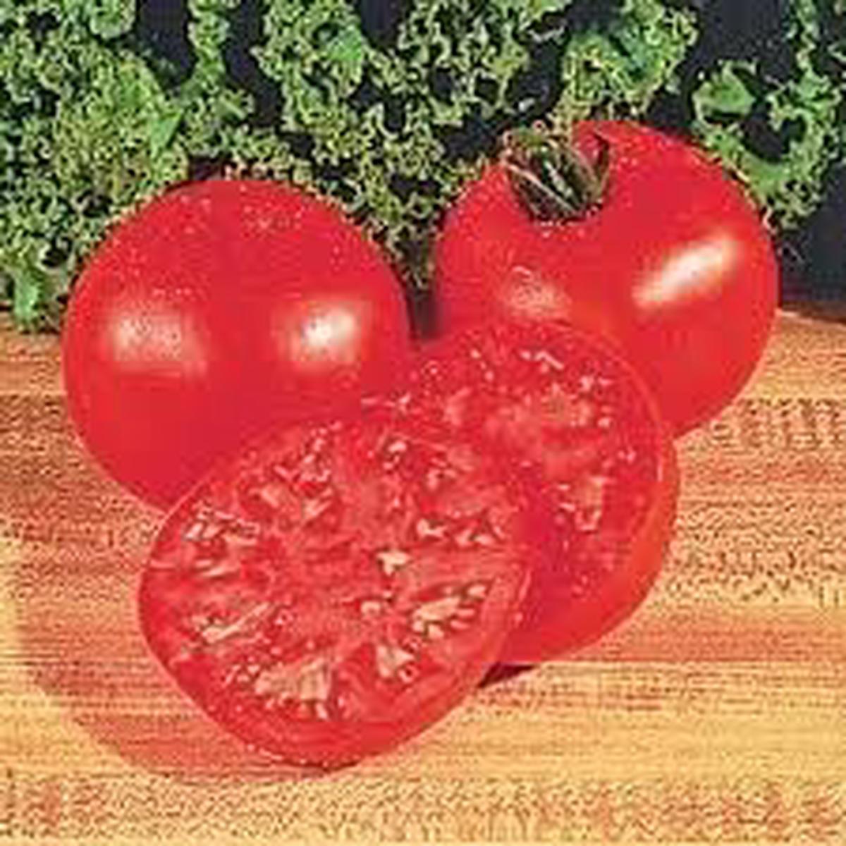Big Boy Tomato Hybrid Seeds for Planting Heirloom Non-GMO Heavy-Yielding Favorite Organic Garden Seeds
