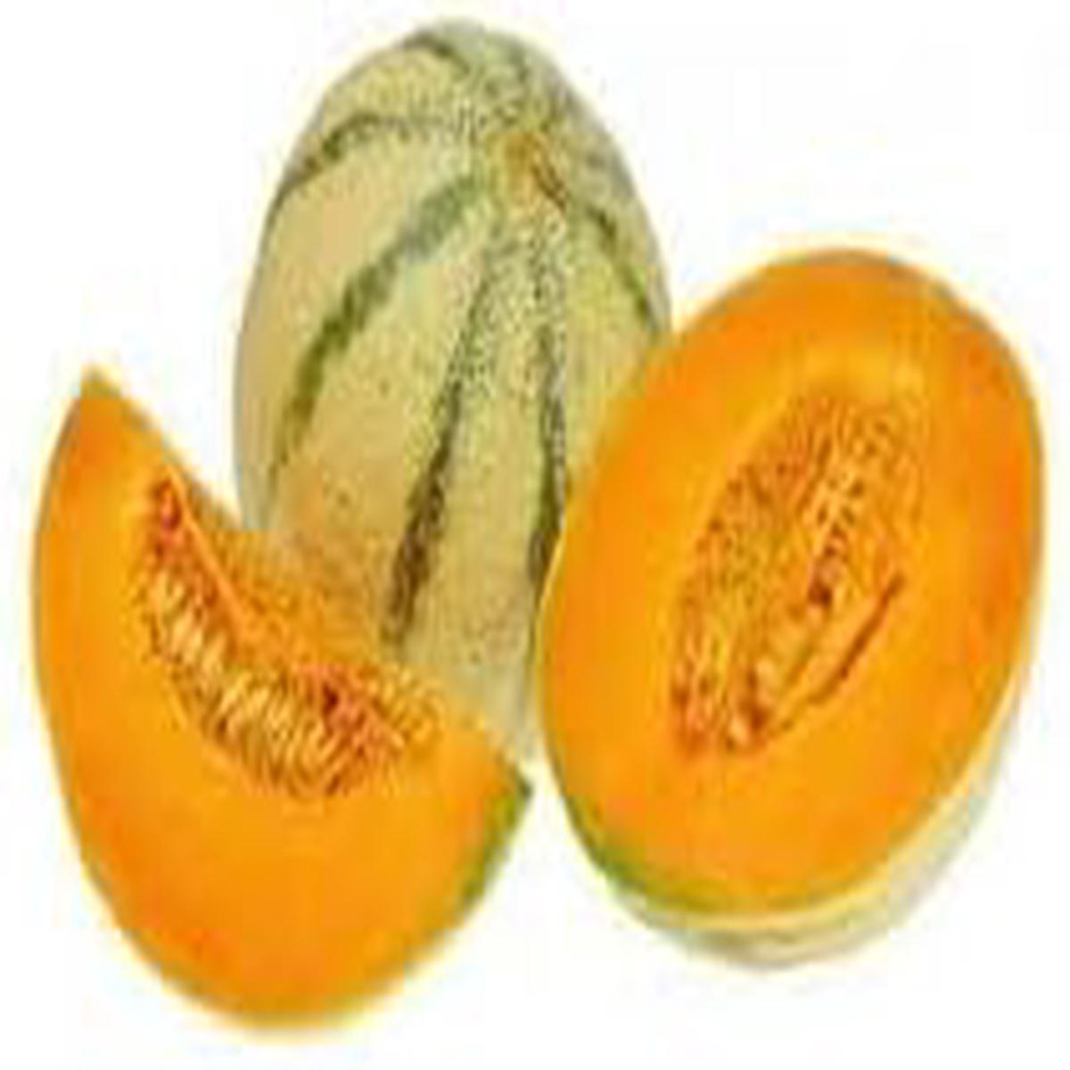 Charentais Melon Fruit seeds for planting Heirloom & Non-GMO Garden seeds