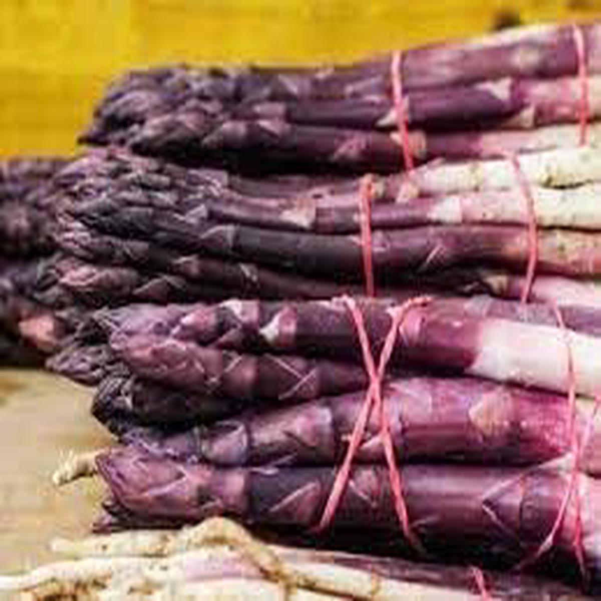 Asparago Vegetable Seeds for Planting  Heirloom & Non-GMO, High Germination Organic Seeds for Nutritious Perennial Spears