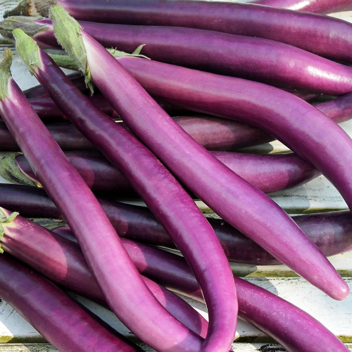 Aubergine Vegetable Seeds for Planting Heirloom & Non-GMO Garden Seeds for Classic Eggplant Dishes
