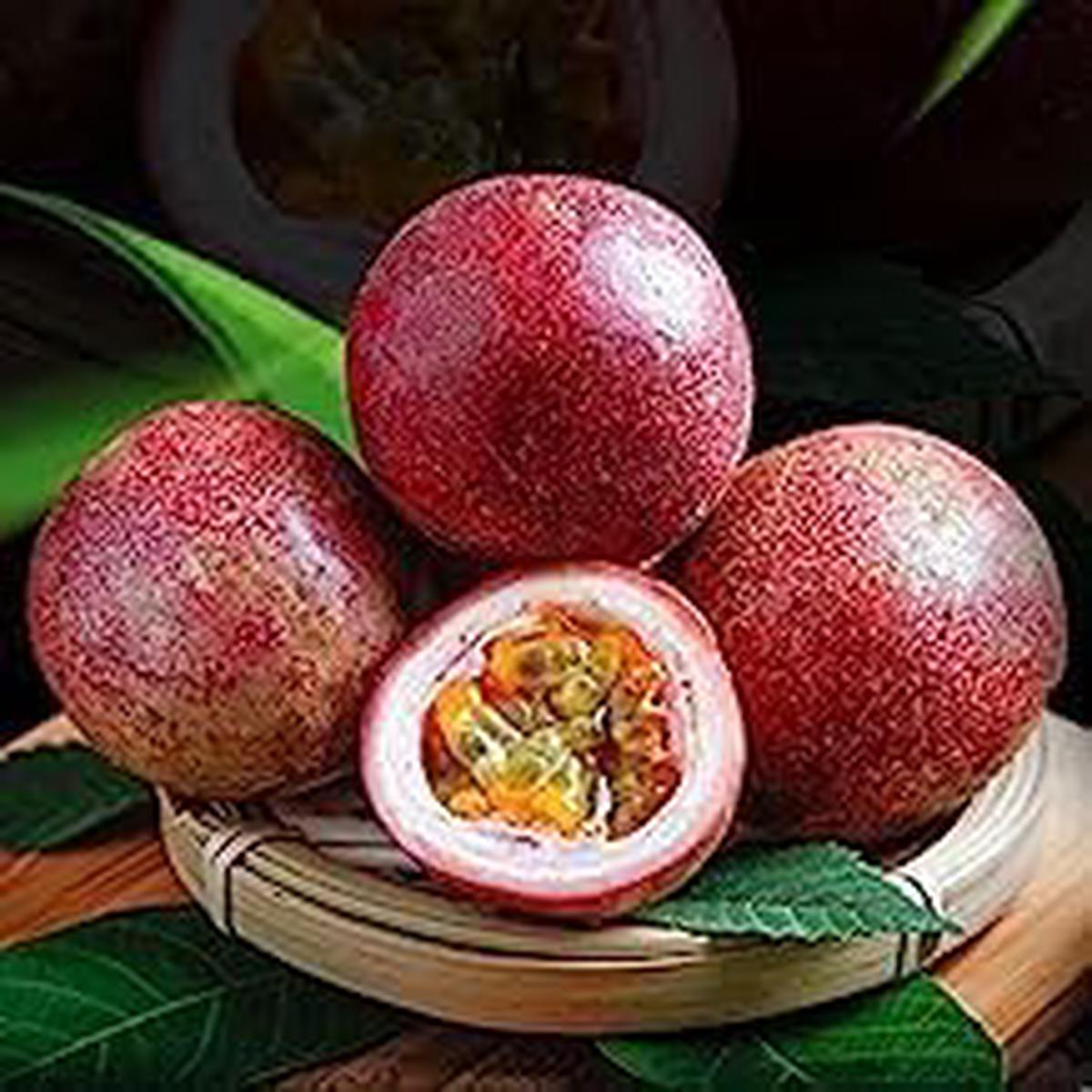 Passion Fruit seeds for planting Heirloom & Non-GMO Garden seeds