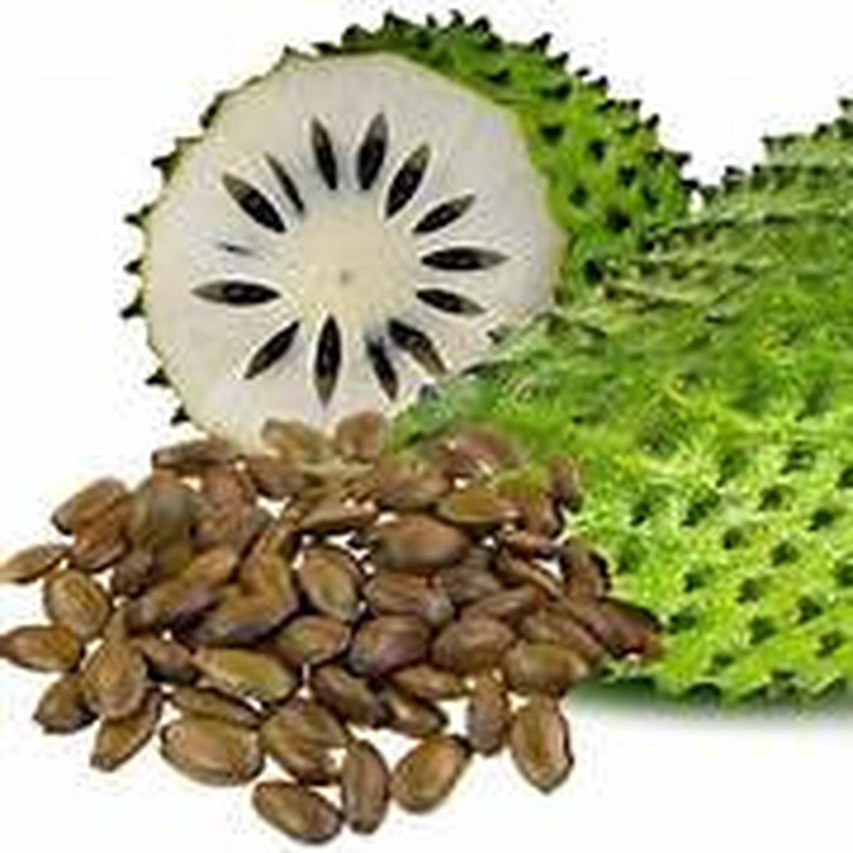 Soursop fruit seeds for planting - Heirloom & Non-GMO Garden seeds, brown tropical variety for lush gardens