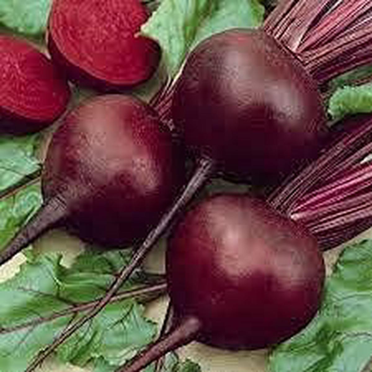 Beet Seeds for Planting Heirloom & Non-GMO, High Germination Organic Garden Seeds