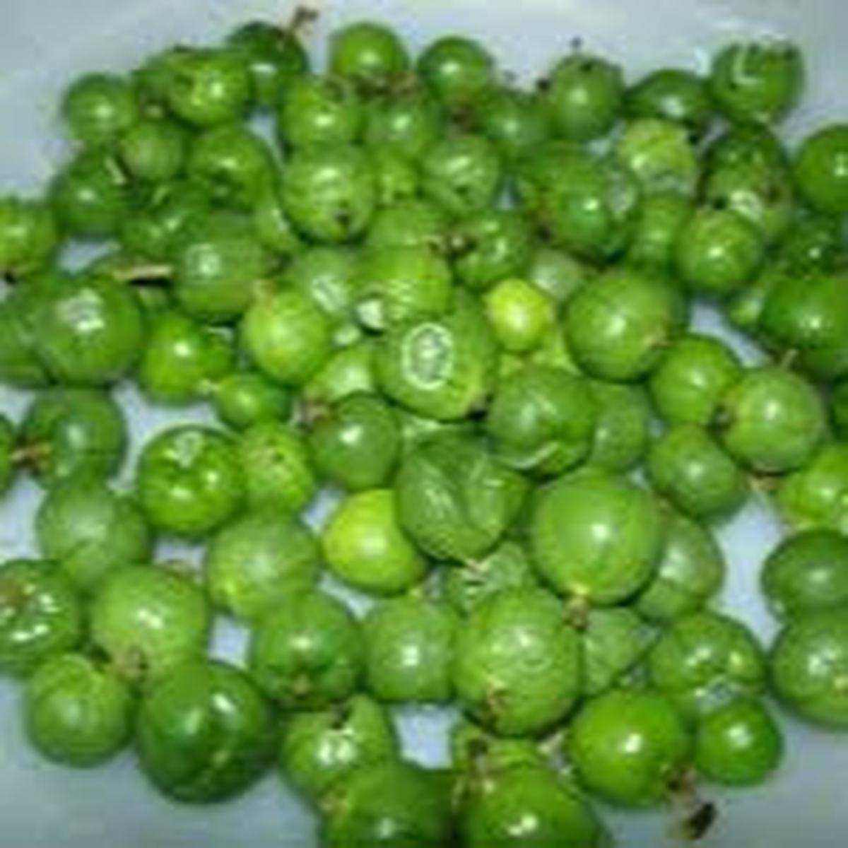 Miniature Passion Fruit seeds for planting - Heirloom & Non-GMO Garden seeds