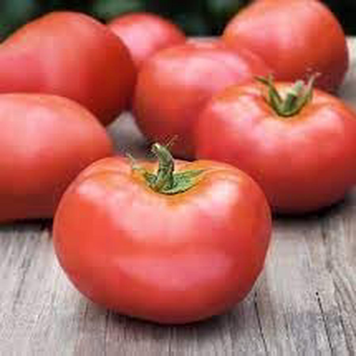 Atkinson Tomato Seeds for Planting  Heirloom Non-GMO, Heat-Resistant Red Fruits  Organic Garden Seeds