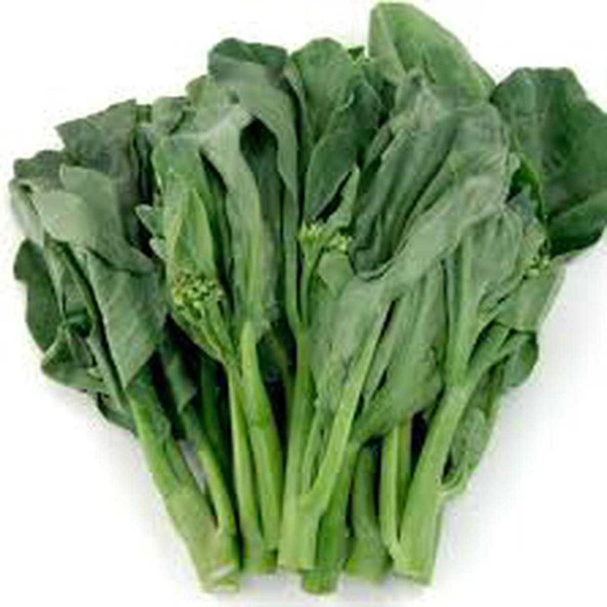 Chinese broccoli gai lan seeds for planting  heirloom, fast-growing asian vegetable
