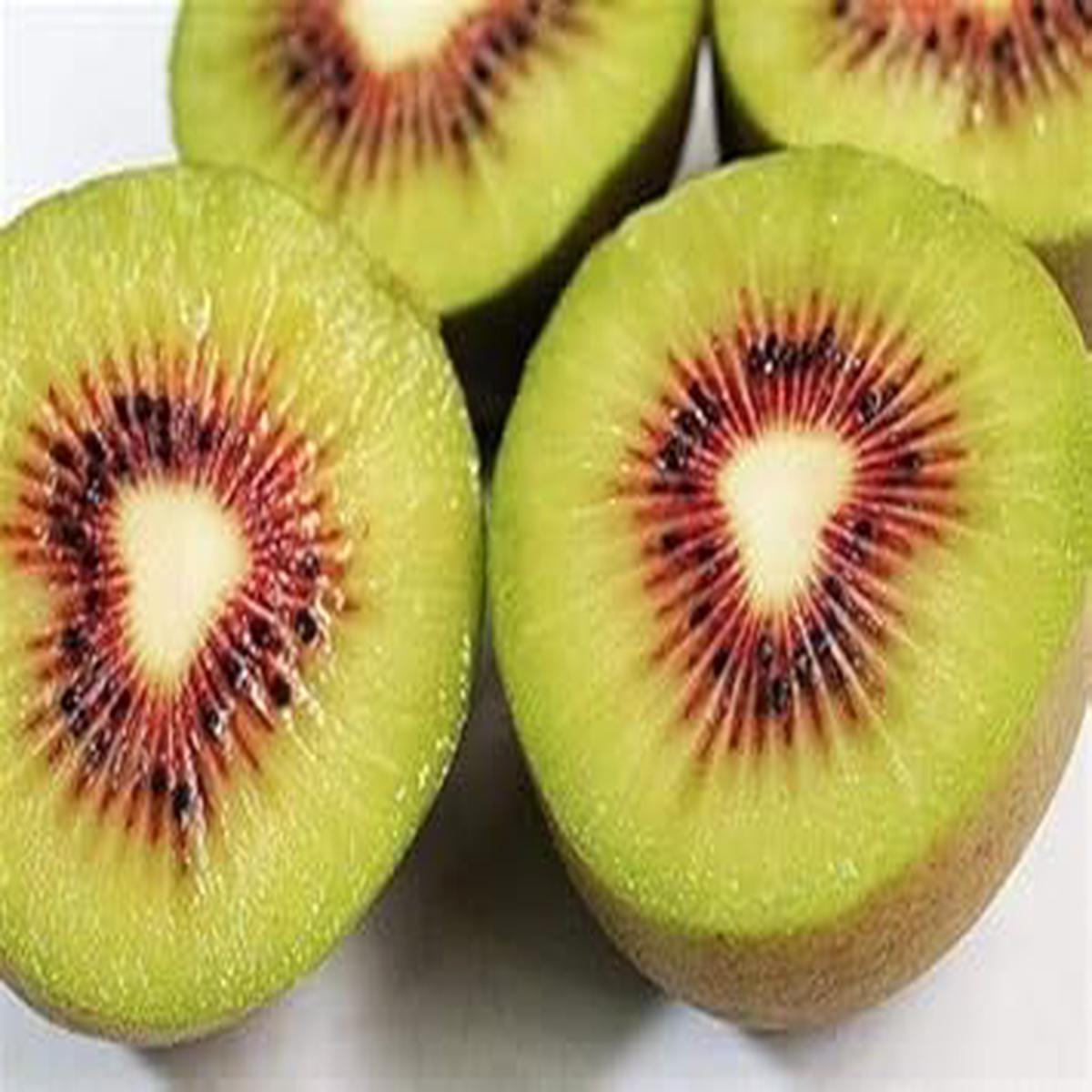 Red Heart Kiwi Fruit Seeds Heirloom, Non-GMO Seeds for Unique Sweet Garden Fruit Planting