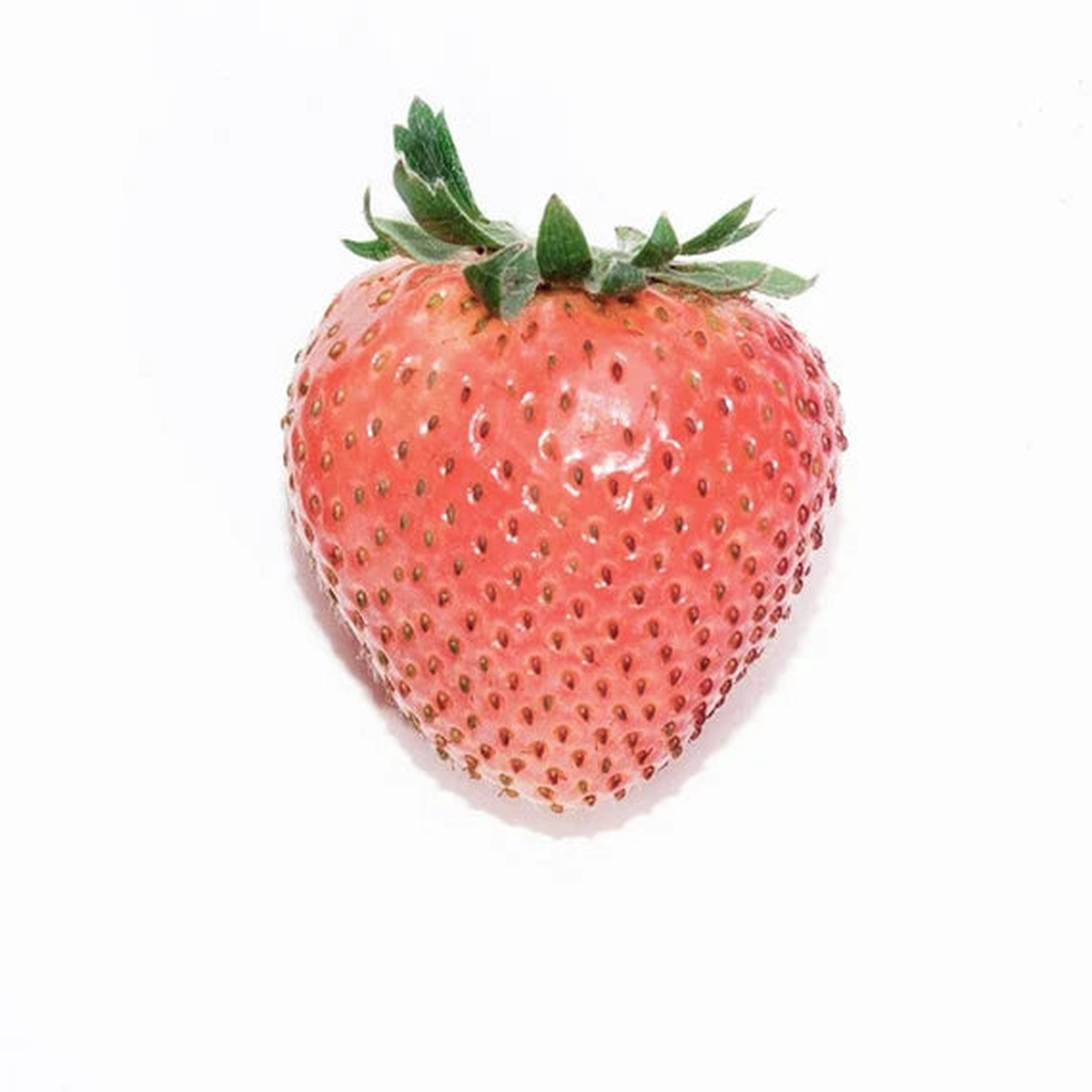 RosyPink Strawberry fruit seeds for planting Heirloom & Non-GMO garden seeds for vibrant juicy berries