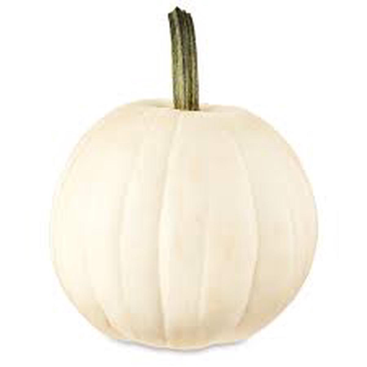 White Pumpkin Vegetable Seeds for Planting  heirloom & non-GMO seeds, seasonal beauty for gardens
