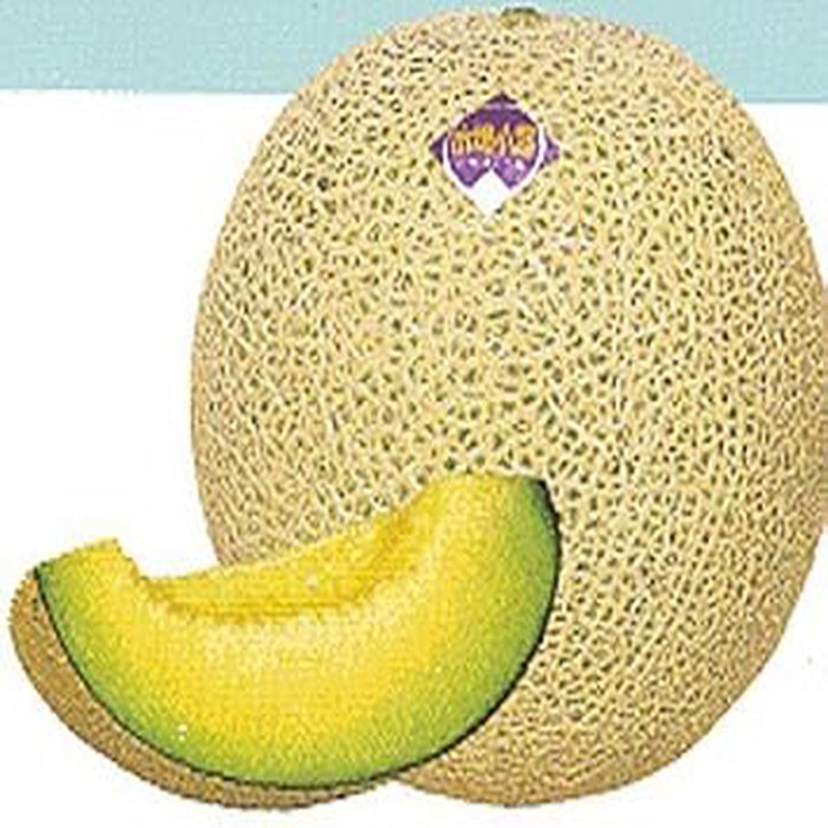 Yellow Ichiba Kouji Fruit Seeds for Planting Heirloom & Non-GMO Garden seeds, exotic sweet fruits for backyard gardens