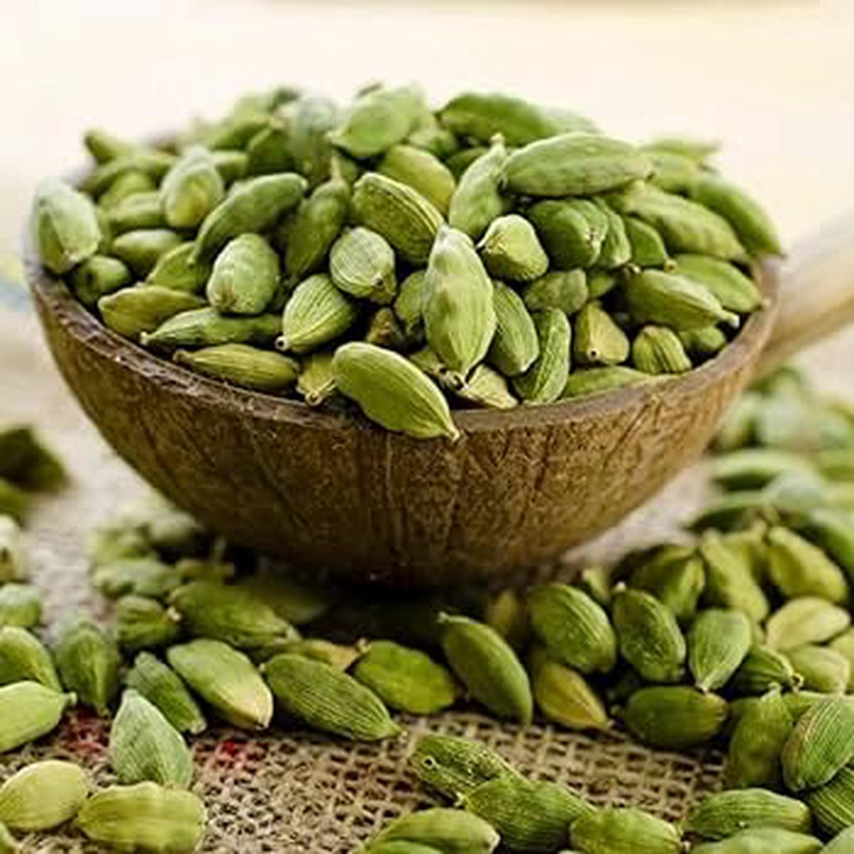 Green Cardamom Herb Seeds for Planting  Heirloom, Non-GMO, Organic Garden Seeds with High Germination
