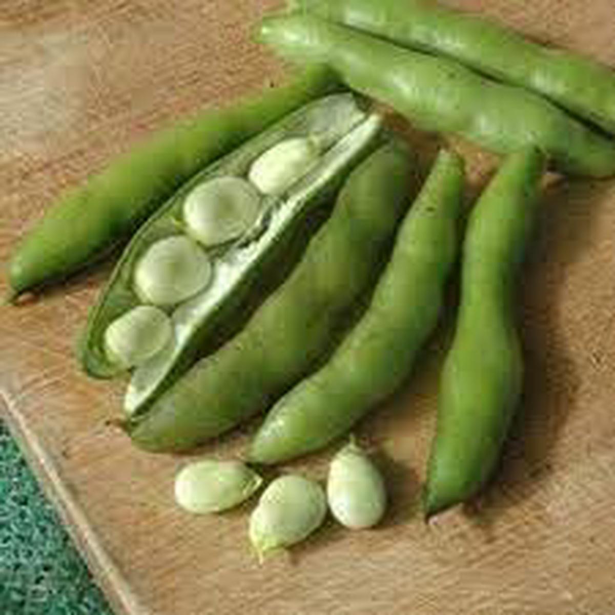 Butterpea Vegetable Seeds for Planting Heirloom & Non-GMO, High Germination Organic Seeds for Flavorful Backyard Farming