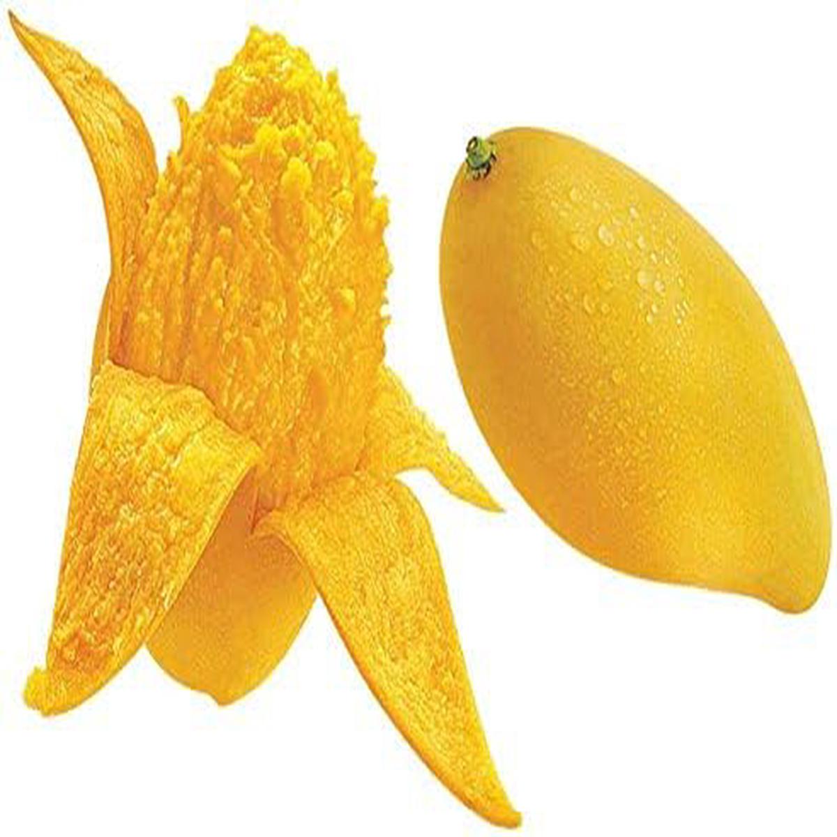 Yellow Mango fruit seeds for planting - Heirloom & Non-GMO Garden seeds