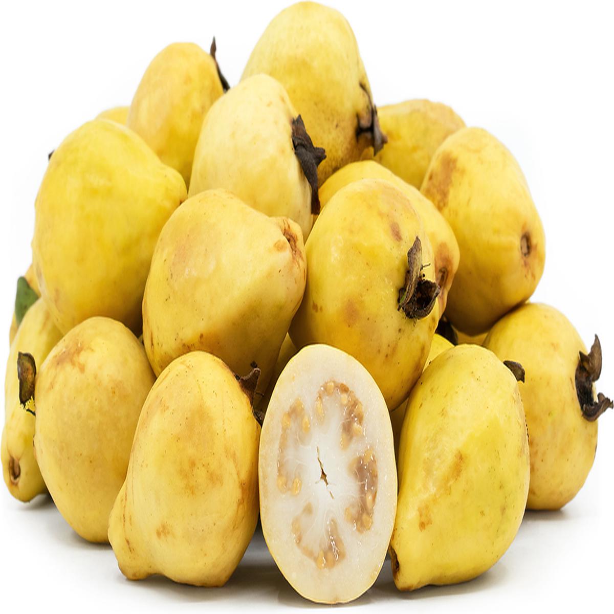 Yellow Mexican Cream Guava fruit seeds for planting - Heirloom & Non-GMO Garden seeds, sweet tropical fruit variety