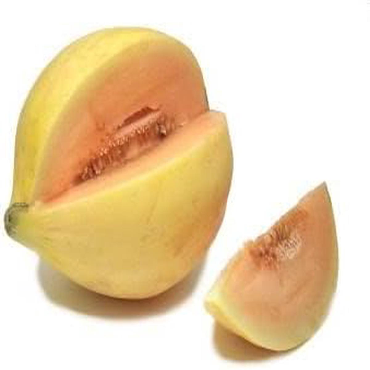 Yellow Cucumis Melo fruit seeds for planting - Heirloom & Non-GMO Garden seeds, refreshing melon variety for gardens